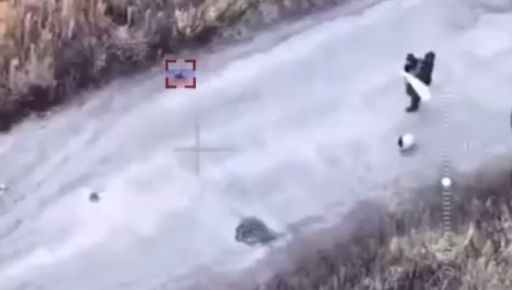 На Харківщині росіяни вбили FPV-дронами собаку та двох цивільних під білим прапором.