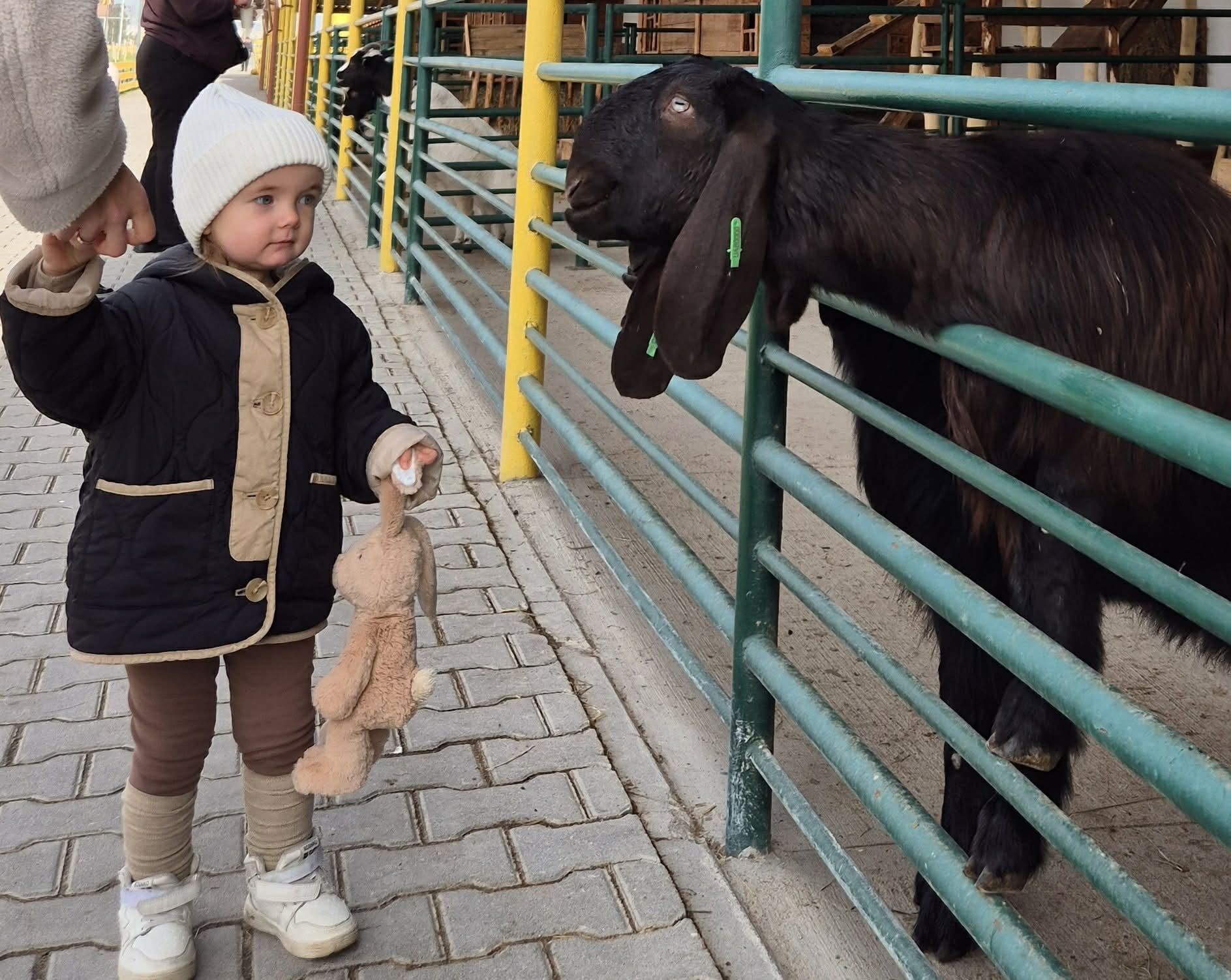 «Діснейленд» нам не суперник! У селі неподалік Тернополя є незвичайне місце української сили