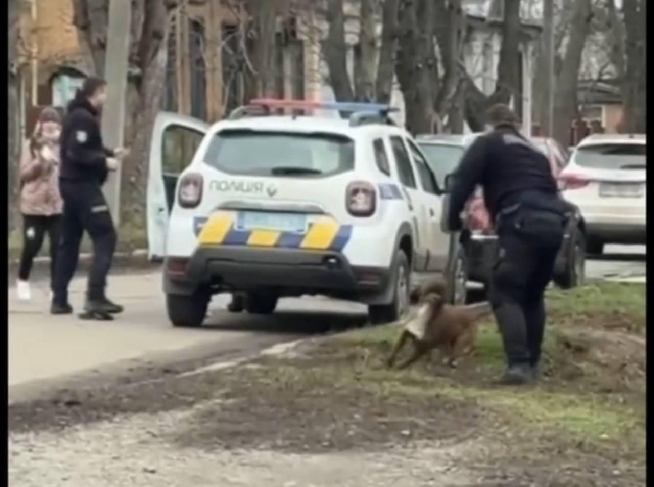 Поліцейські проти ветерана ЗСУ і його собаки: скандал у Полтаві — чому виник конфлікт?