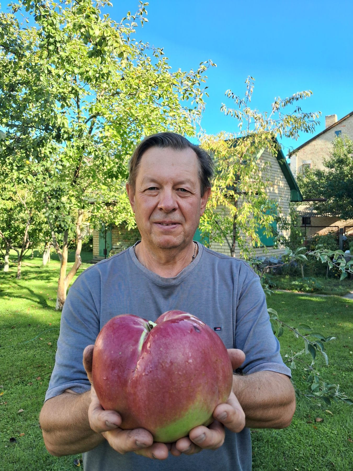 Садівник-ентузіаст із вирощеним власноруч яблуком-гігантом.