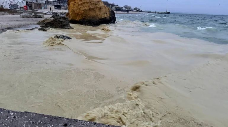 Акваторію найбільшого українського порту перекрили через витік олії.