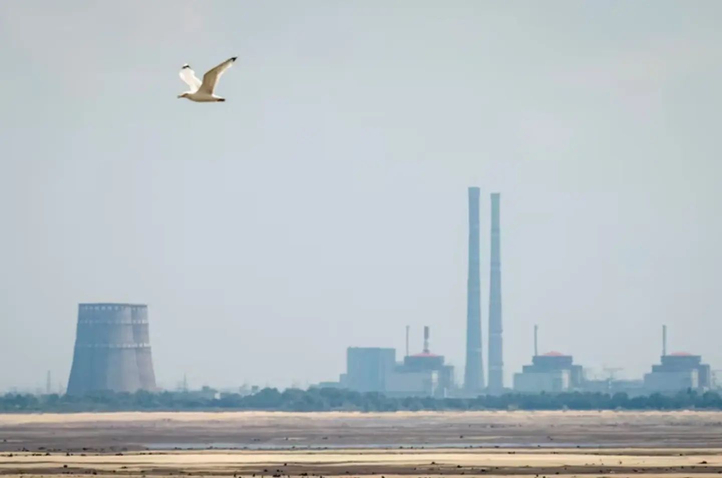 4 березня 2022 року в ході повномасштабного російського вторгнення, електростанція була захоплена російськими військами.