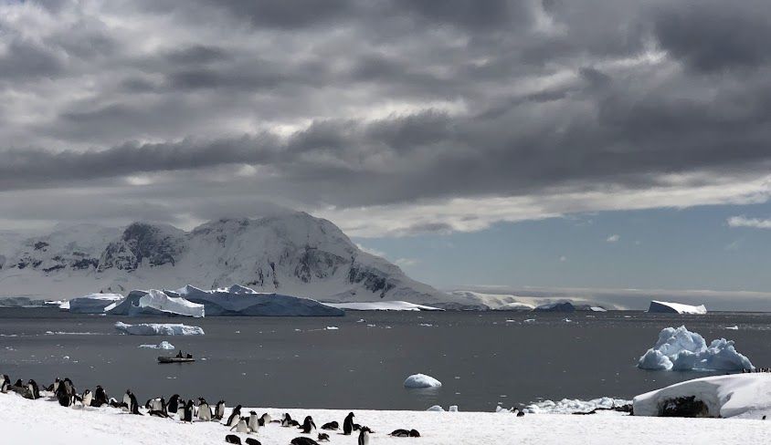 Анта́рктика — в широкому значенні південна полярна область Землі, до складу якої входить материк Антарктида та ділянки Атлантичного, Індійського і Тихого океанів, що межують з Антарктидою (або води Південного океану).