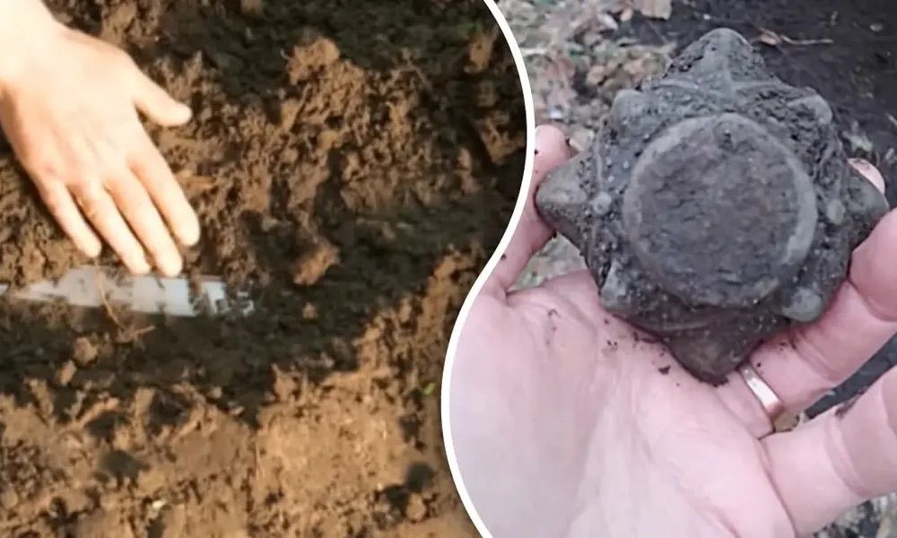 Українська земля вкотре нагадала: під шаром чорнозему прихована історія, якій сотні й тисячі років.