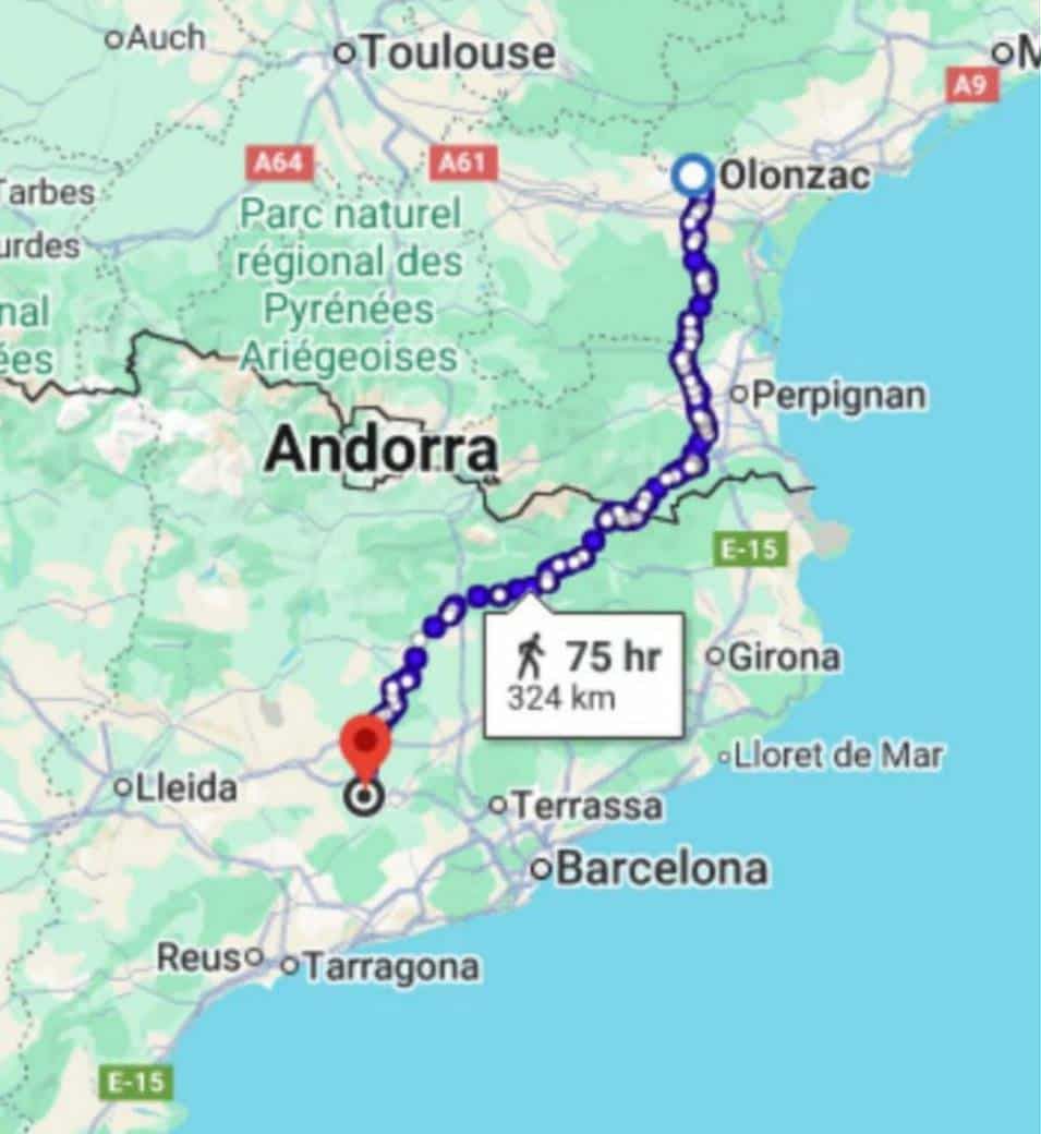 Пара була шокована, коли через п’ять місяців після зникнення їхній кіт несподівано з’явився поблизу дому.