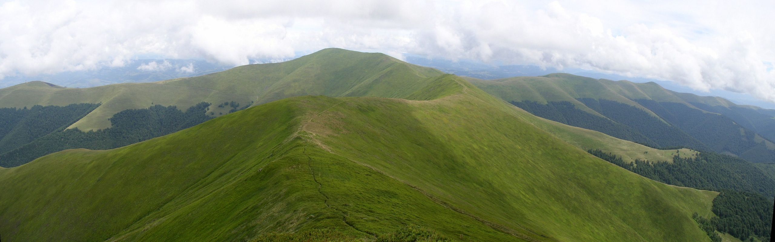 Полонина Боржава — гірський масив на Полонинському хребті в Українських Карпатах, між річками Віча і Рікою. Розташований у межах Воловецького, Міжгірського, Свалявського, Іршавського і (частково) Хустського районів Закарпатської об