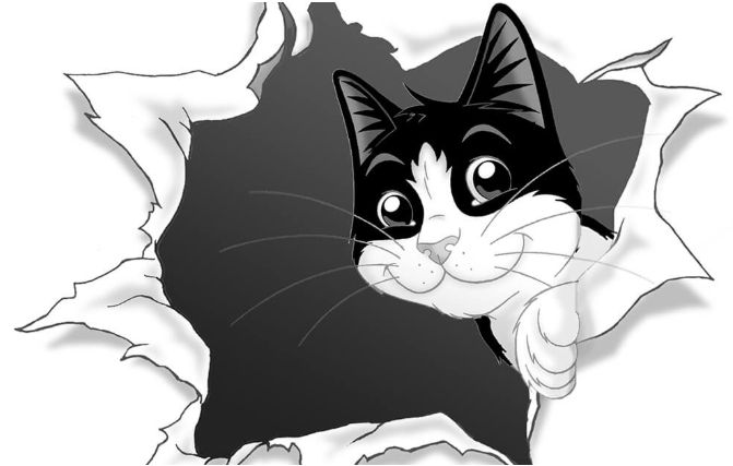 Корм для котів Felix®: як смак і текстура впливають на настрій кота