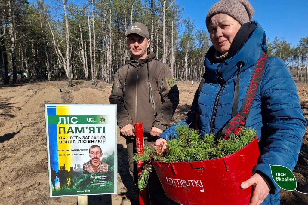 Ліс на місці згарища. На Херсонщині висадили саджанці сосни кримської у поєднанні з листяними породами