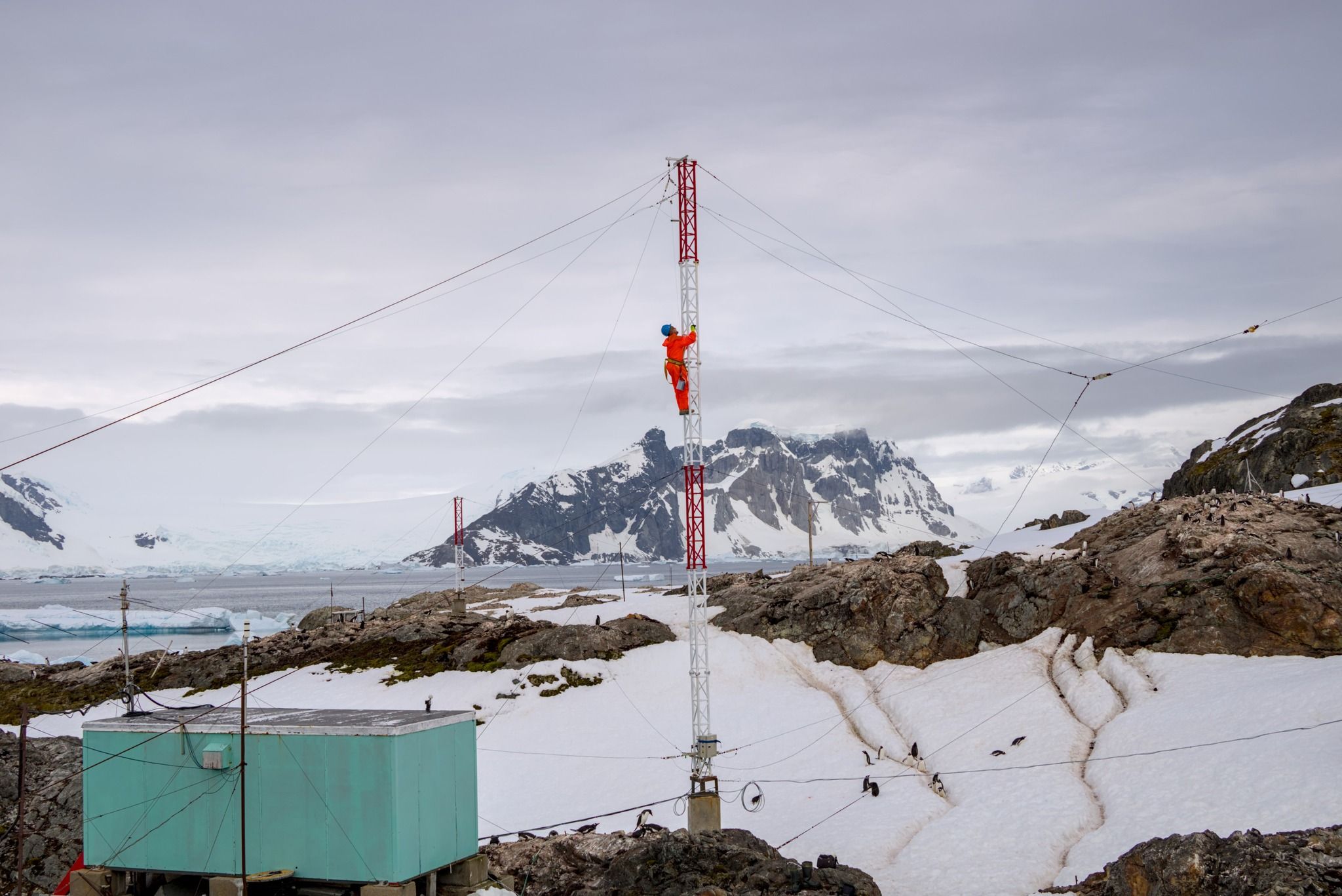 Наші полярники та полярниці знову встановили переможний рекорд у Науковому конкурсі / WikiScience Contest.