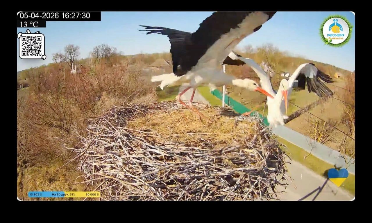 Лель і Квітка замість Грицька та Одарки
