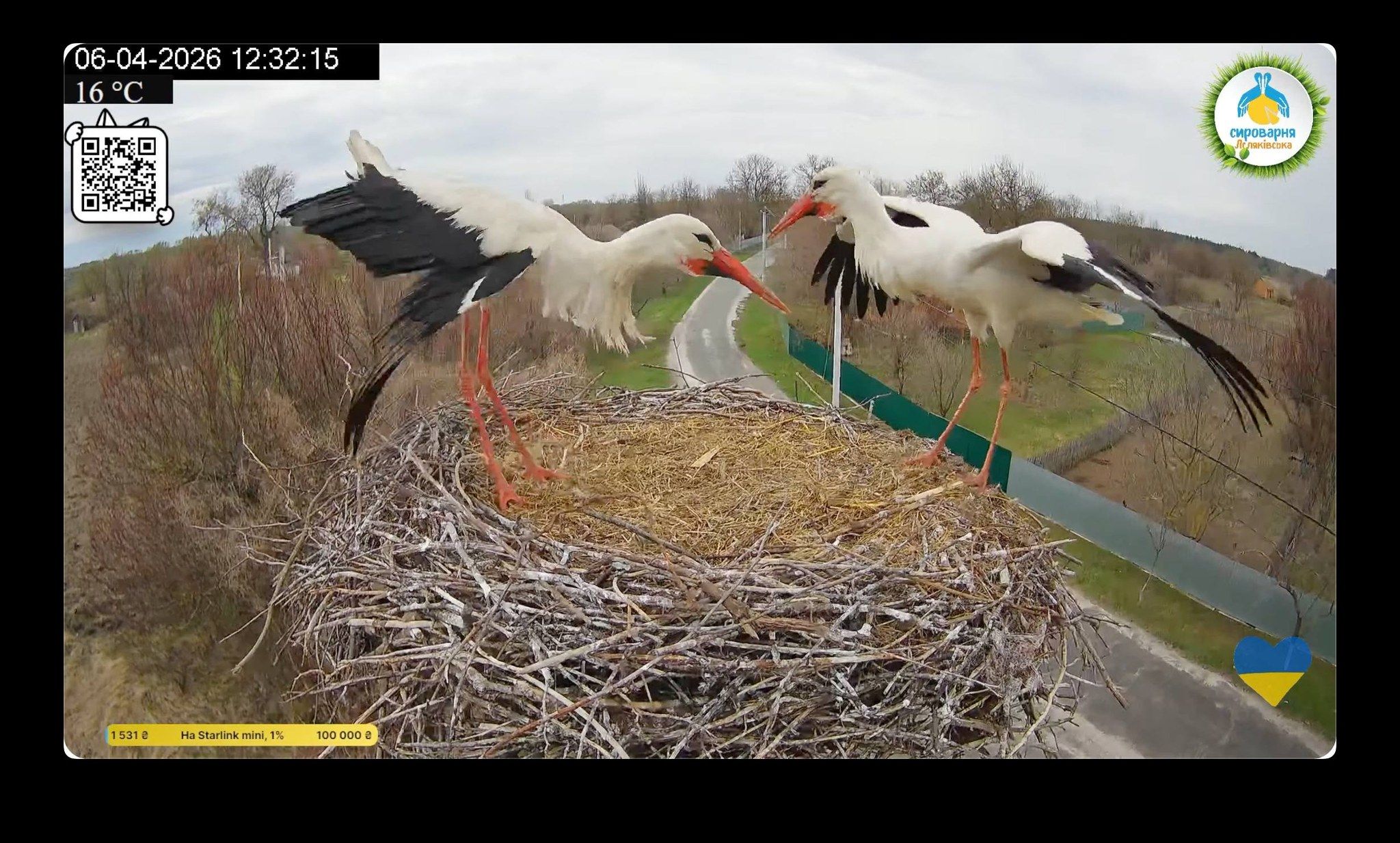 Любовний чотирикутник