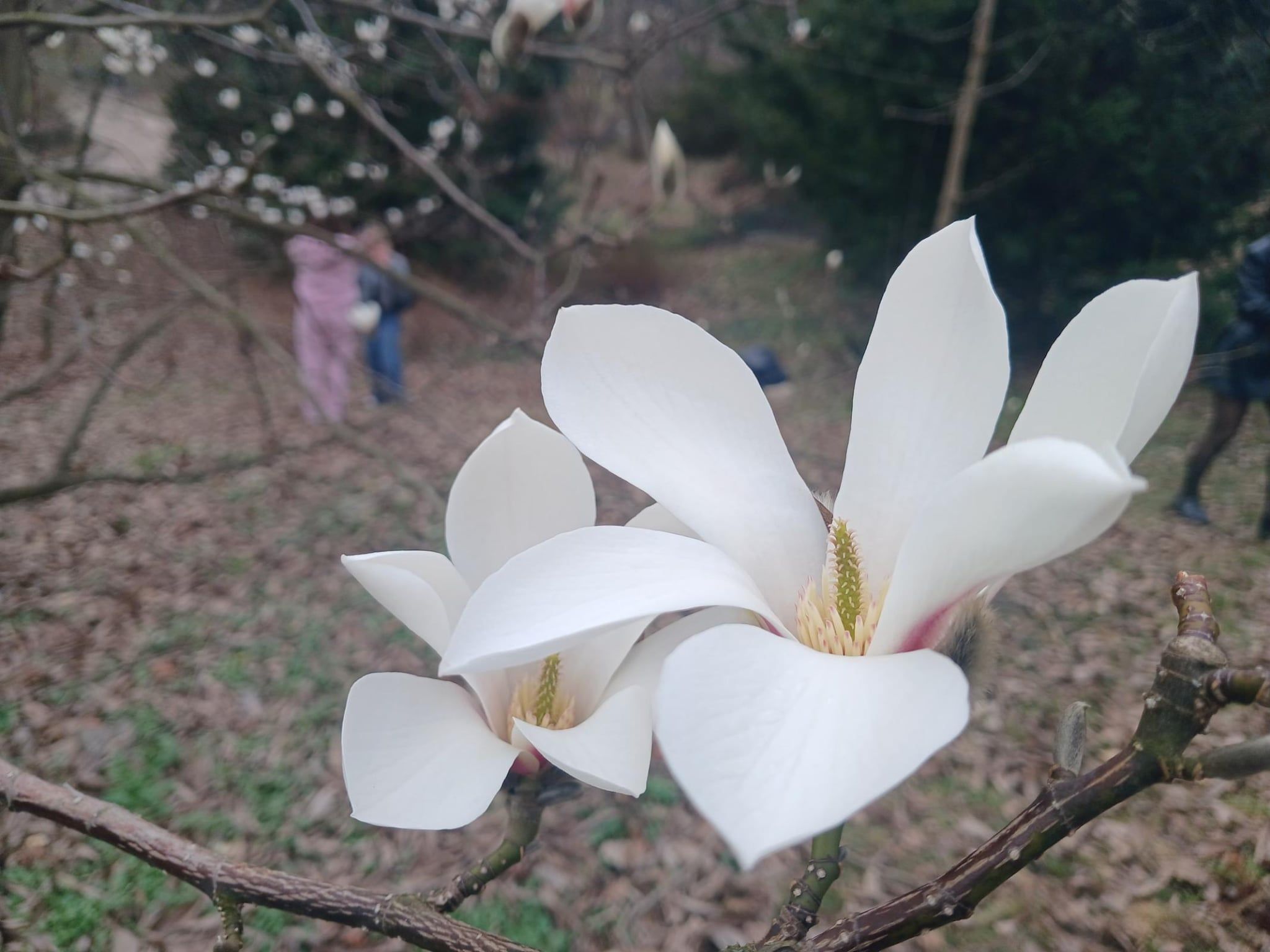 Життя без пауз