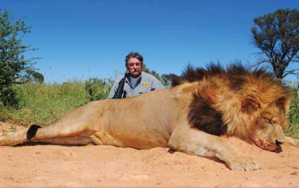 Американський мільйонер, мисливець на велику дичину, помер після того, як його розчавили слони. (Досіо був досвідченим мисливцем, який зібрав велику колекцію трофеїв великої дичини).