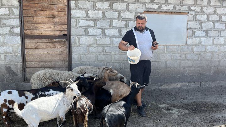 Охолоджені соки для мавп, басейн для левів та обливання водою для страусів