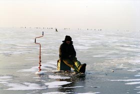 Весна іде, не поспішаючи