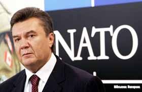 НАТО: «ізоляційний матеріал» для Януковича