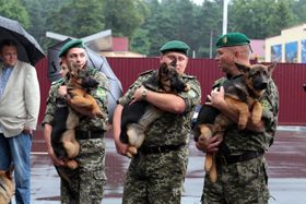 З собаками вхiд дозволено